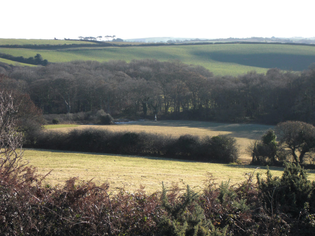 A view across the farm
